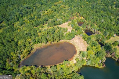 Welcome to Twin Lakes, a waterfowl paradise and premier hunting - photo 54