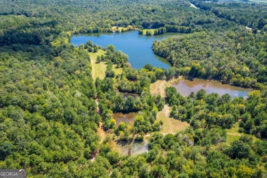 Welcome to Twin Lakes, a waterfowl paradise and premier hunting - photo 55