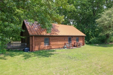 Charming 3 bed, 2 bath log cabin overlooking private, all-sports - Lake Home For Sale in Jones, Michigan