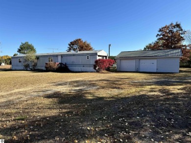 (private lake, pond, creek) Home For Sale in Hale Michigan