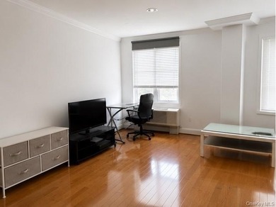 Prime location near the LIRR station and Mian ST The condominium - photo 3