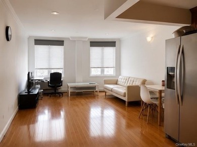 Prime location near the LIRR station and Mian ST The condominium - photo 4