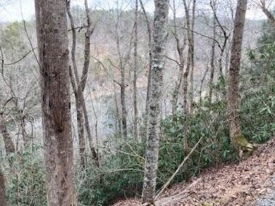 Coosawattee River - Gilmer County Acreage Sale Pending in Ellijay Georgia