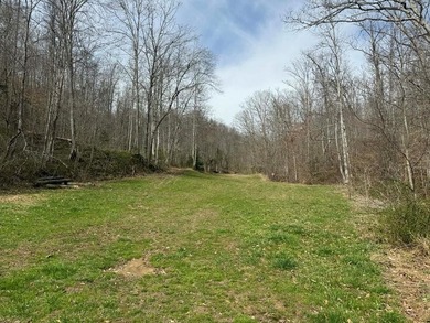 Discover 58+/- acres of untouched beauty in Johnson County - photo 1