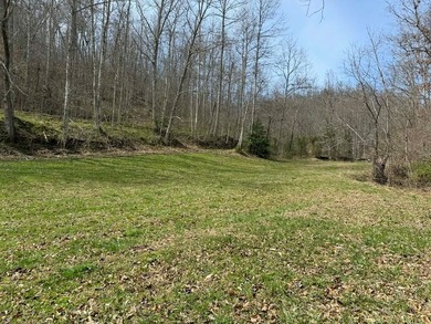 Discover 58+/- acres of untouched beauty in Johnson County - photo 2