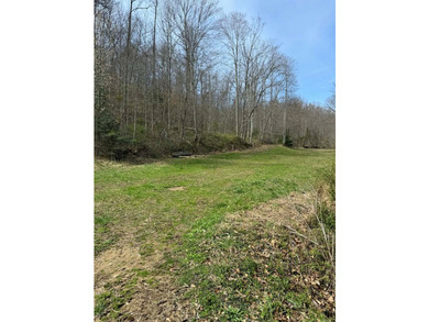 Discover 58+/- acres of untouched beauty in Johnson County - photo 3