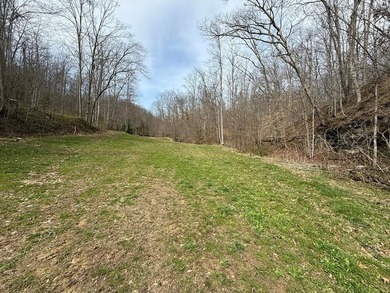 Discover 58+/- acres of untouched beauty in Johnson County - photo 4