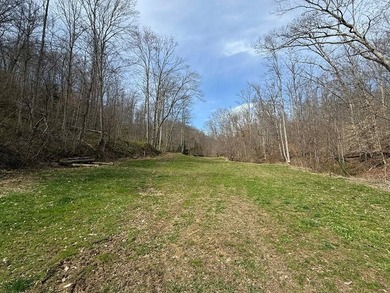 Discover 58+/- acres of untouched beauty in Johnson County - photo 5