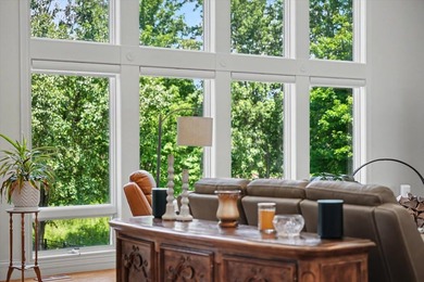 Luxury, Scale, and Energy Independence Meet in This Decatur, IL - photo 15