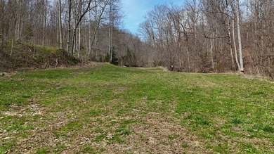 Discover 58+/- acres of untouched beauty in Johnson County - photo 6