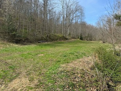 Discover 58+/- acres of untouched beauty in Johnson County - photo 7