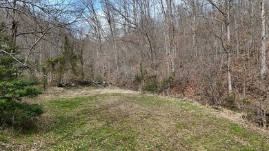 Discover 58+/- acres of untouched beauty in Johnson County - photo 8