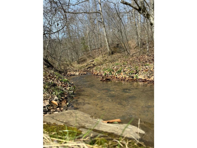 Discover 58+/- acres of untouched beauty in Johnson County - photo 9