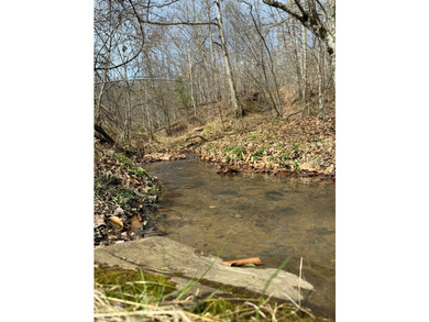 Discover 58+/- acres of untouched beauty in Johnson County - photo 10