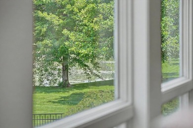 Luxury, Scale, and Energy Independence Meet in This Decatur, IL - photo 39