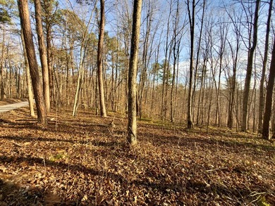 Great opportunity near Yatesville Lake! This wooded property - photo 8