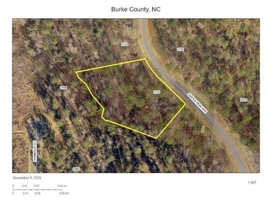 Lake Lot For Sale in Connelly Springs, North Carolina