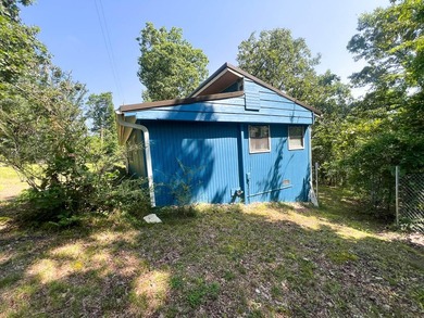 NEAR THE LAKE AND TOWN SERVICES 2 bedroom (plus bonus room that - photo 4