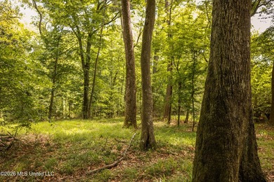 Welcome to 108+- acres in Summit, MS, located on the beautiful - photo 3