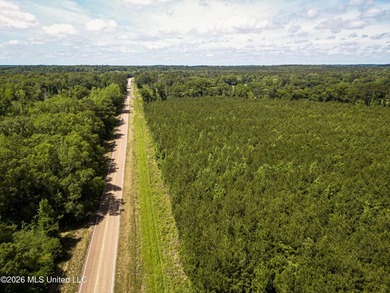 Welcome to 108+- acres in Summit, MS, located on the beautiful - photo 4
