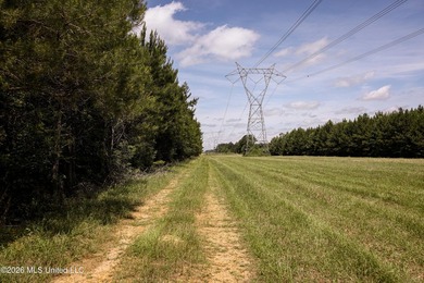 Welcome to 108+- acres in Summit, MS, located on the beautiful - photo 5