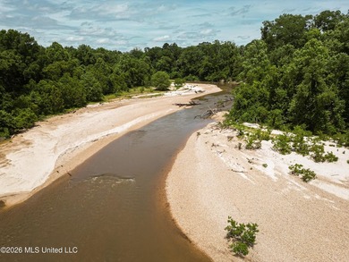 Welcome to 108+- acres in Summit, MS, located on the beautiful - photo 6