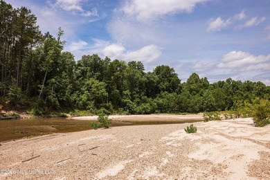 Welcome to 108+- acres in Summit, MS, located on the beautiful - photo 7