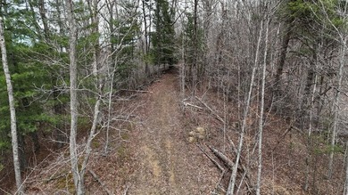 42 acres of pure freedom with no restrictions! This property is - photo 8