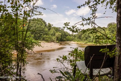 Welcome to 108+- acres in Summit, MS, located on the beautiful - photo 9