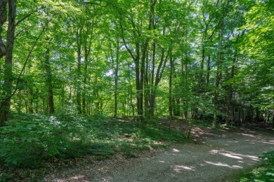 Lake Michigan - Van Buren County Lot For Sale in Covert Michigan