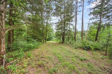 Exceptional Beaver Lake Property. Dubbed 'Hilltop Ranch at - photo 12
