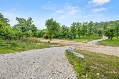 Exceptional Beaver Lake Property. Dubbed 'Hilltop Ranch at - photo 15