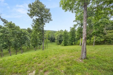 Exceptional Beaver Lake Property. Dubbed 'Hilltop Ranch at - photo 23