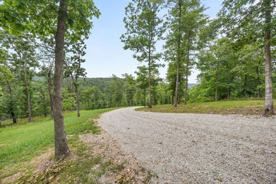 Exceptional Beaver Lake Property. Dubbed 'Hilltop Ranch at - photo 25