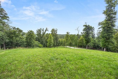 Exceptional Beaver Lake Property. Dubbed 'Hilltop Ranch at - photo 27