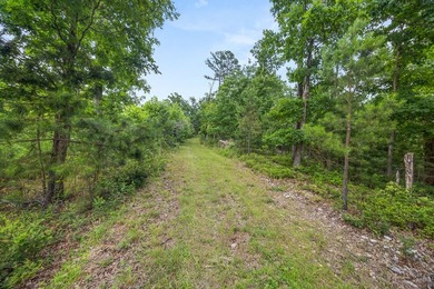 Exceptional Beaver Lake Property. Dubbed 'Hilltop Ranch at - photo 29