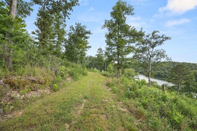 Exceptional Beaver Lake Property. Dubbed 'Hilltop Ranch at - photo 30