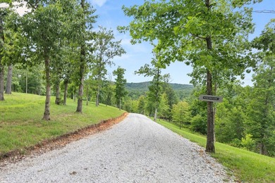 Exceptional Beaver Lake Property. Dubbed 'Hilltop Ranch at - photo 33