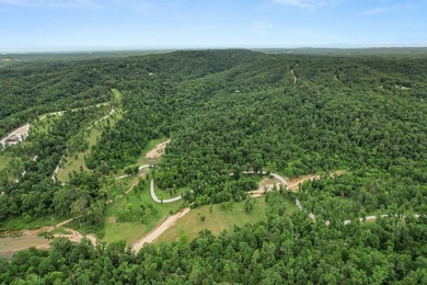 Exceptional Beaver Lake Property. Dubbed 'Hilltop Ranch at - photo 36