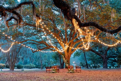Step into a piece of Charleston's storied past with this rare - photo 38
