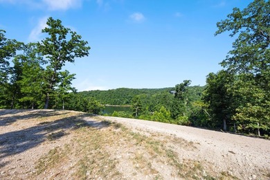 Exceptional Beaver Lake Property. Dubbed 'Hilltop Ranch at - photo 39