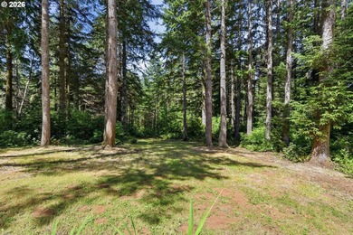 The epitome of an Oregon home - tucked away at the end of a long - photo 40