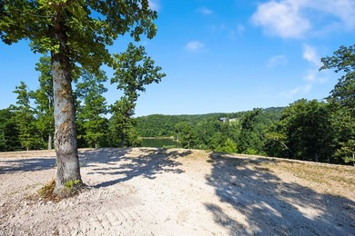 Exceptional Beaver Lake Property. Dubbed 'Hilltop Ranch at - photo 43