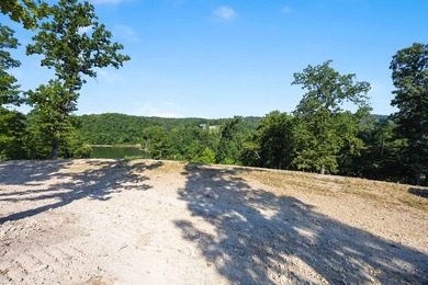Exceptional Beaver Lake Property. Dubbed 'Hilltop Ranch at - photo 44