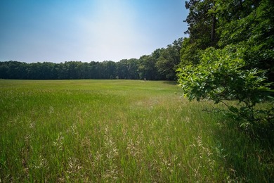 An exceptionally beautiful 1.25 acre building site that includes - photo 4