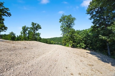Exceptional Beaver Lake Property. Dubbed 'Hilltop Ranch at - photo 46