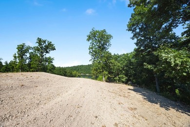 Exceptional Beaver Lake Property. Dubbed 'Hilltop Ranch at - photo 48