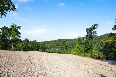Exceptional Beaver Lake Property. Dubbed 'Hilltop Ranch at - photo 49