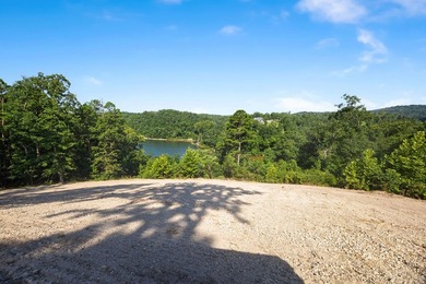 Exceptional Beaver Lake Property. Dubbed 'Hilltop Ranch at - photo 50