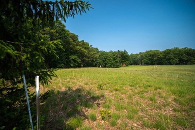 An exceptionally beautiful 1.25 acre building site that includes - photo 10